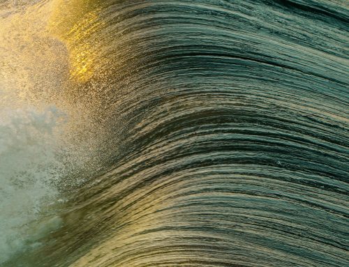 Soutenir les acteurs engagés  dans la transition énergétique